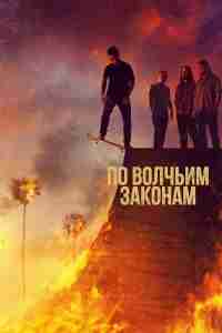 По волчьим законам